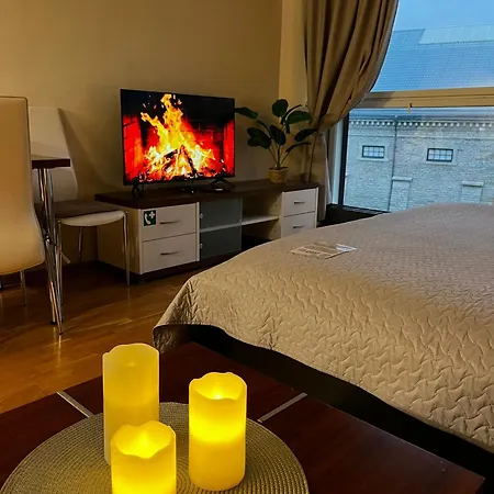 Charming Flat Next To Old Town And Harbor شقة تالين